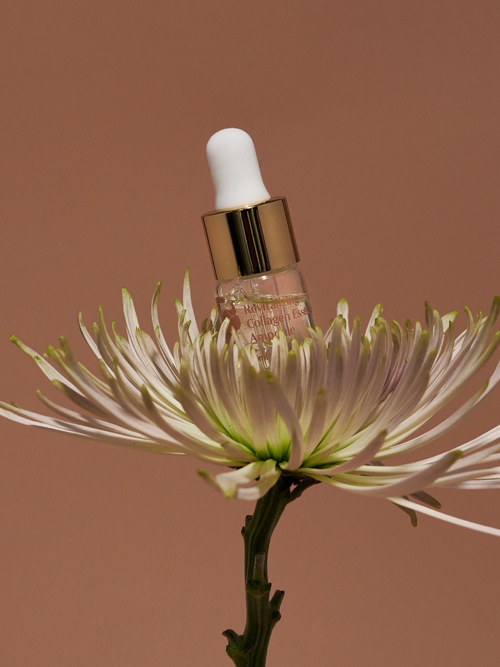 Revitalizing Collagen Essence Ampoule